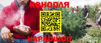 тгк Краснодар