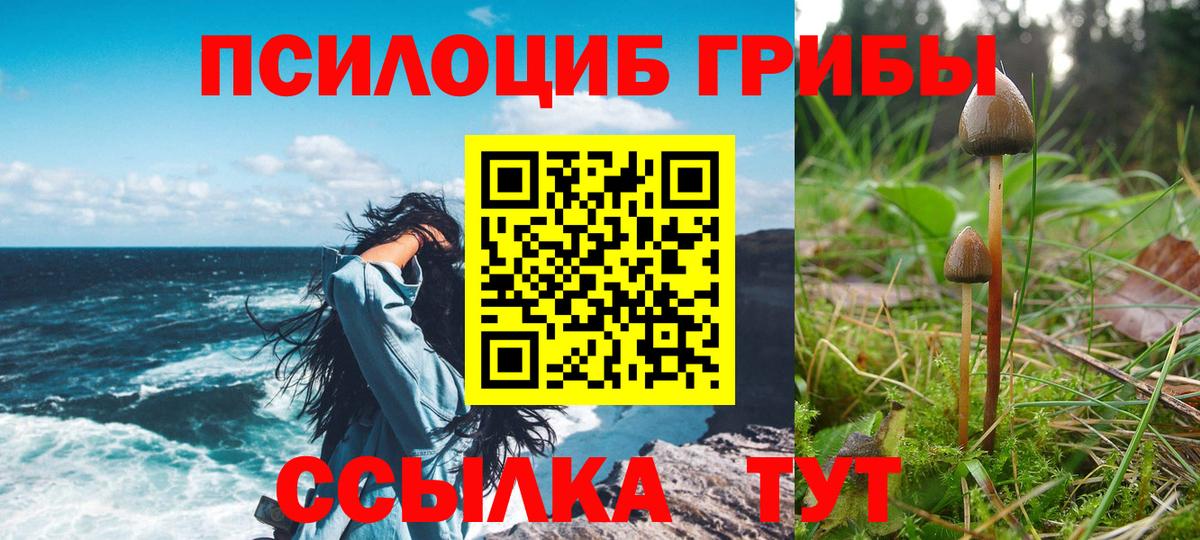 Псилоцибиновые грибы прущие грибы Камышлов