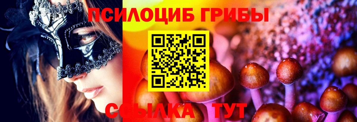 Камышлов  Галлюциногенные грибы ЛСД  как найти закладки  Вход с VPN 